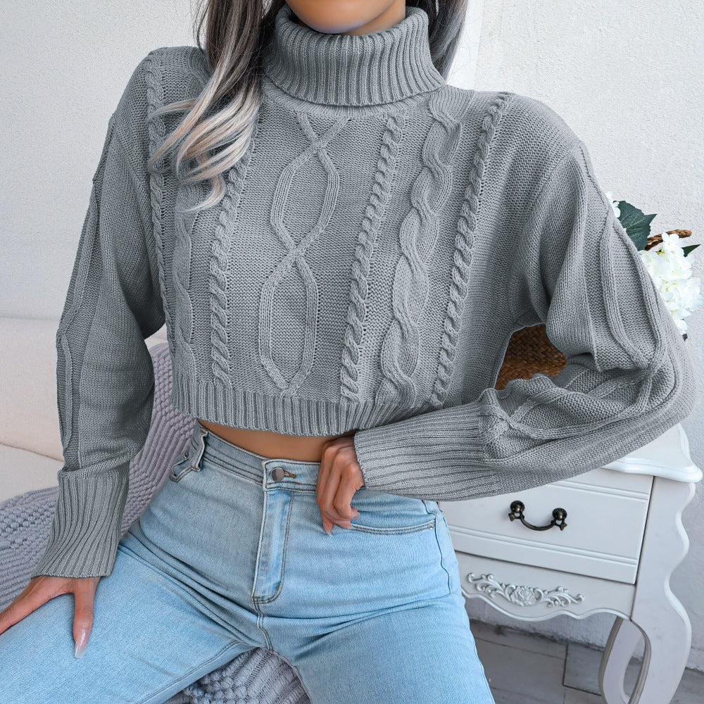 Mixed Feelings Turtleneck Cropped Sweater