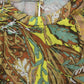 Chic Curvy No Time Printed Jumpsuit with Pockets